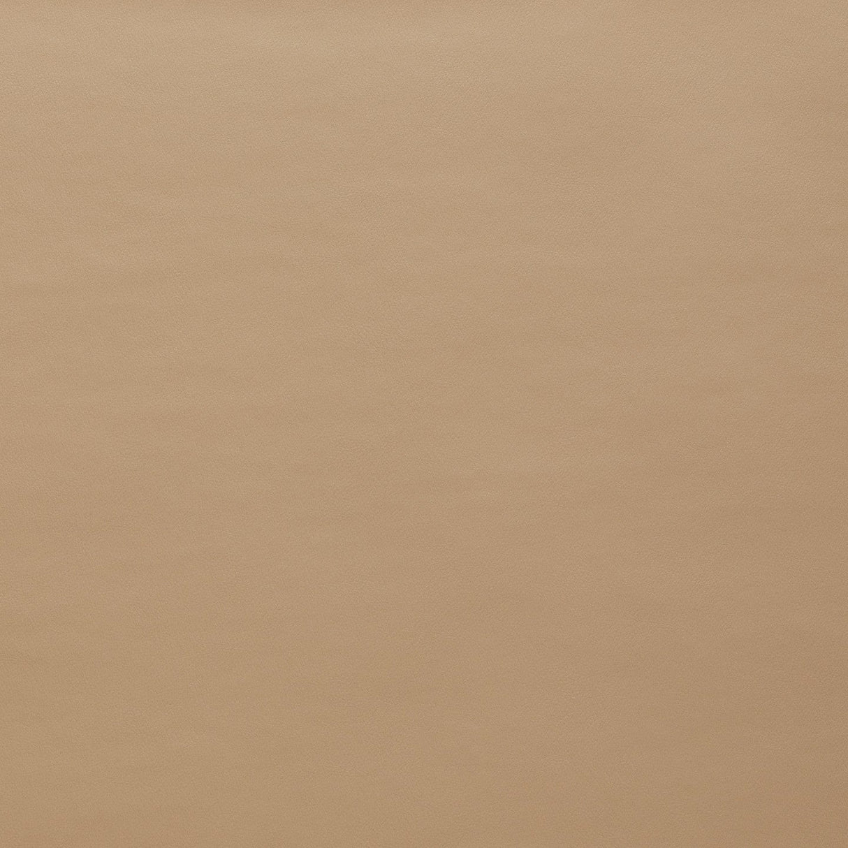 Atlas Coffee Cream Aviation Spec Vinyl