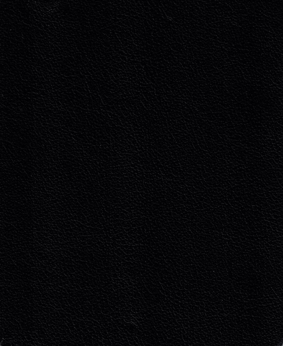 Nevada Leather: Domino NV 0710