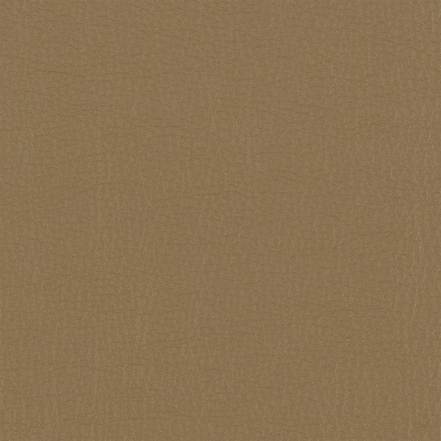 Protégé Empire Tan PG-03