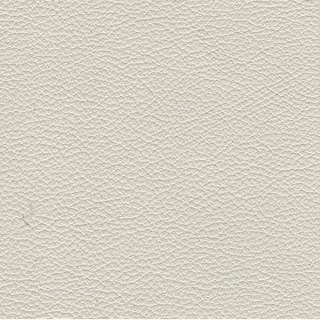 Florida Leather: Office Grey