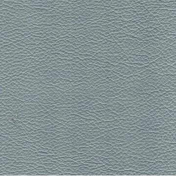 Florida Leather: Powder