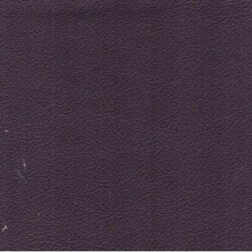 Florida Leather: Raisin