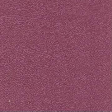 Florida Leather: Rhubarb