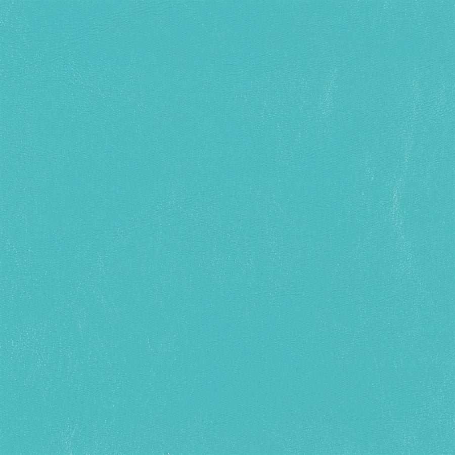 Seabrook Aqua