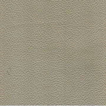 Florida Leather: Sage Grey