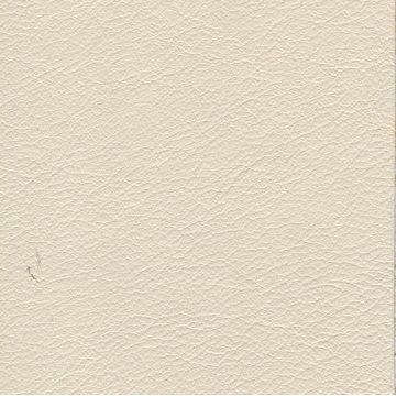 Florida Leather: Swan