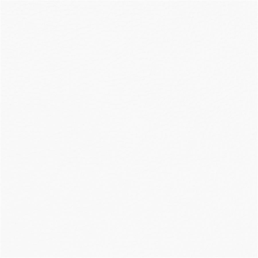 Protégé White PG-02