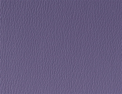 All American Crocus AM-51