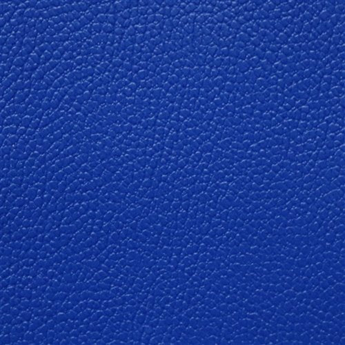 Allsport Royal Blue