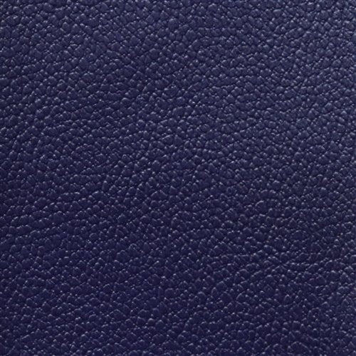 Allsport Electric Blue