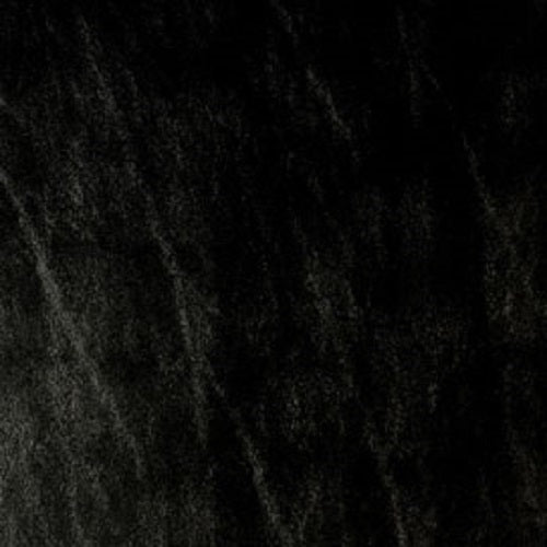 Barracuda Sea Urchin