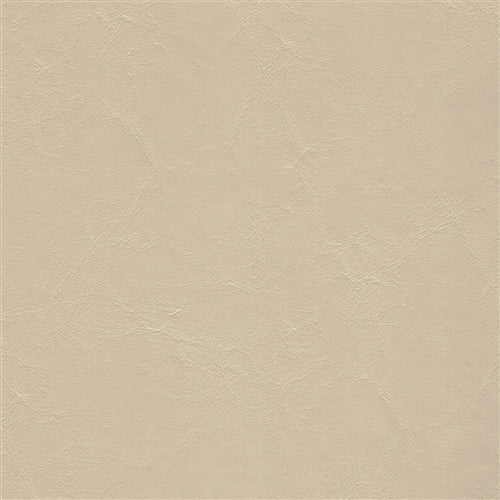 Islander Titan Neutral