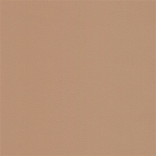 Navigator Sand Dollar