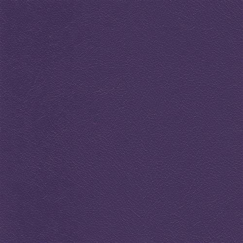 Navigator Purple Passion