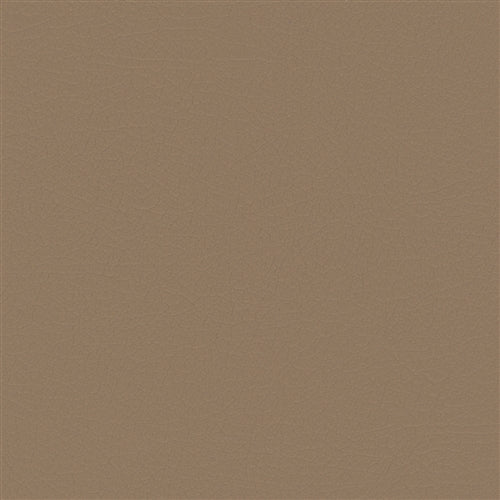 Nuance Medium Neutral