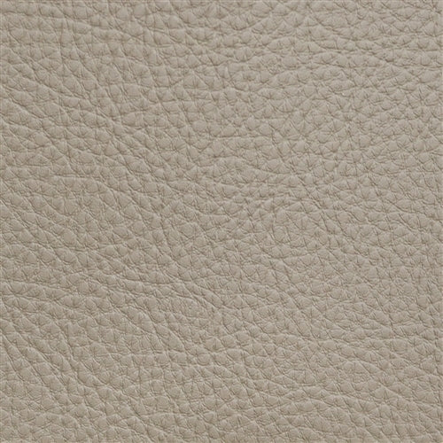 Prodigy Light Sandlewood PRO-685