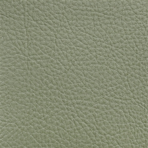 Prodigy Basil PRO-697