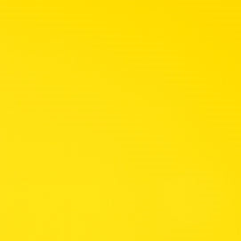 Seabrook Action Yellow