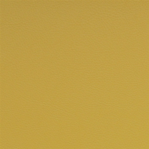 Symphony Classic Daffodil SCL-209