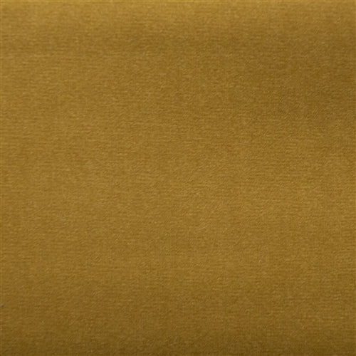 Santa Rosa Lion - Auto & Upholstery Fabric