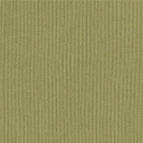 Silvertex Celery STX-8819