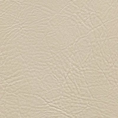 Tradewinds Seashell Marine Vinyl