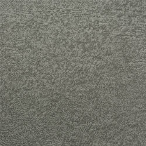 Denali #05 Clear Gray