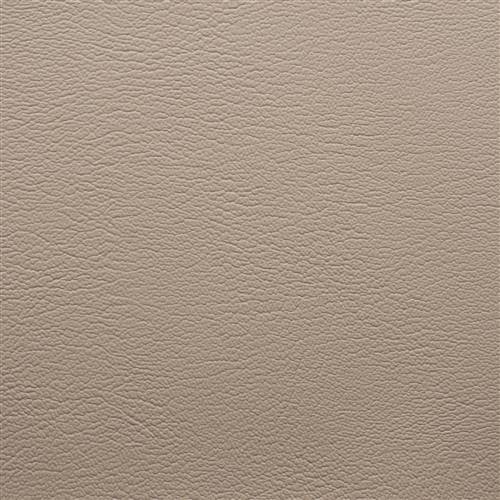 Denali #21 Lt. Neutral