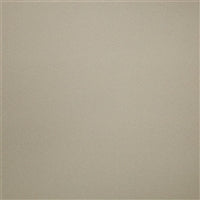 1747T Quicksilver Headliner