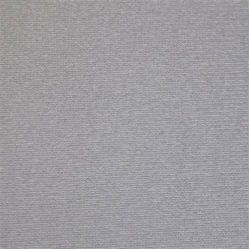 2173 Light Graphite Headliner