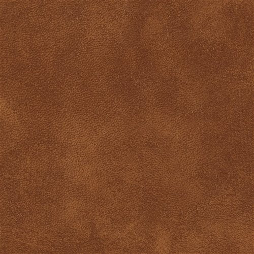 Yorktown Bittersweet