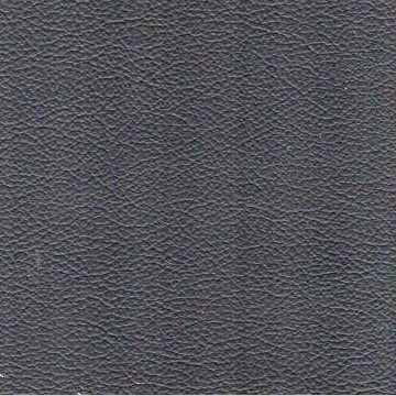 Florida Leather: Asphalt