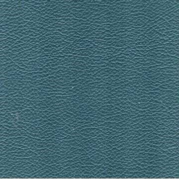 Florida Leather: Blue Spruce