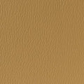 Atlas Camel Aviation Spec Vinyl