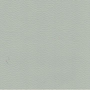 Florida Leather: Elephant