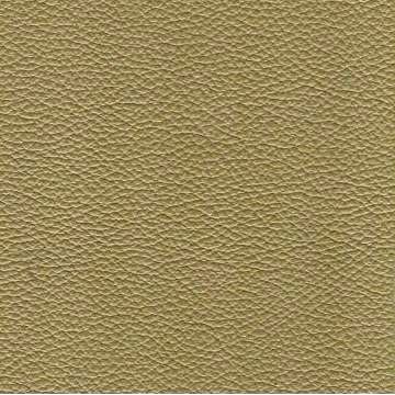 Florida Leather: Fern