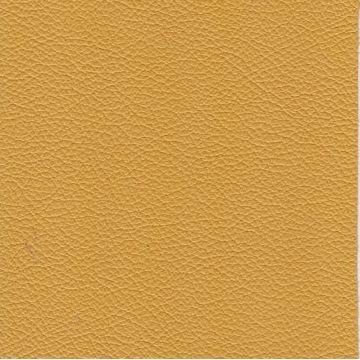 Florida Leather: Golden