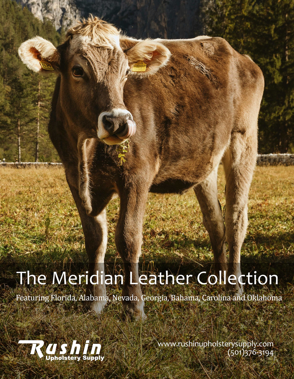 Meridian Leather Collection