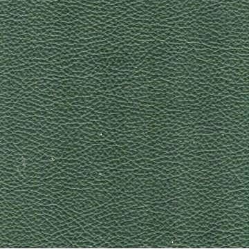Florida Leather: Pine