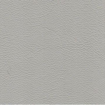 Florida Leather: Plaster