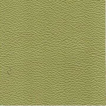 Florida Leather: Spring Green