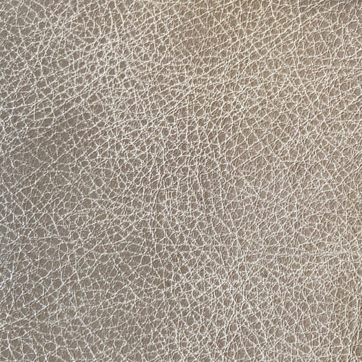 Frontier Leather Hides Trail Dust