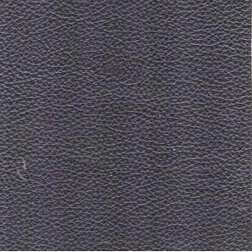 Florida Leather: Wolf