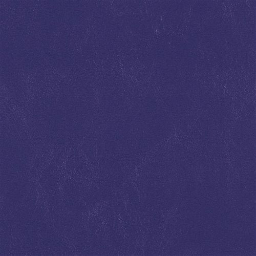 Catalina Twilight Purple