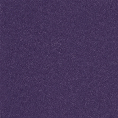 Navigator Purple Passion