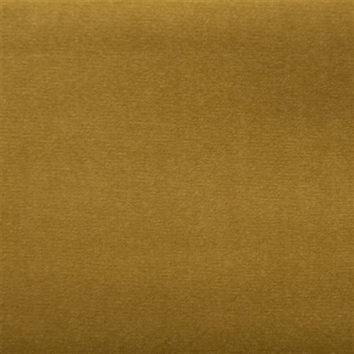 Santa Rosa Lion - Auto & Upholstery Fabric