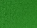 Spirit Millennium Emerald US 343