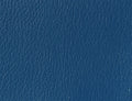 Spirit Millennium Regimental Blue US 345