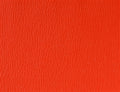 Spirit Millennium Tomato US 358
