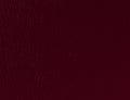 Spirit Millennium Plum US 361